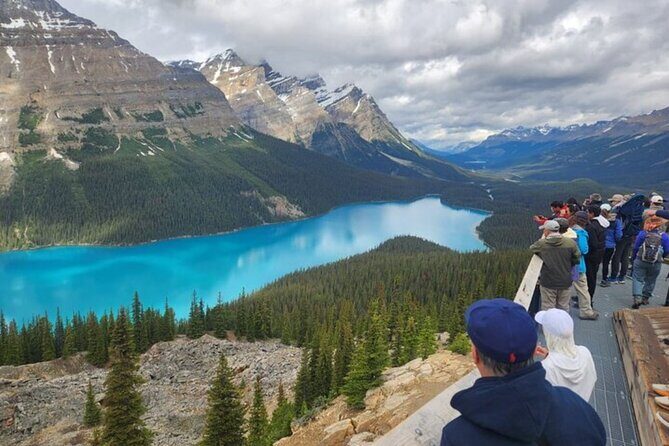 Day Tours in Banff National Park - Exploring Banff National Park: A Guided Day Tour Worth Your Time