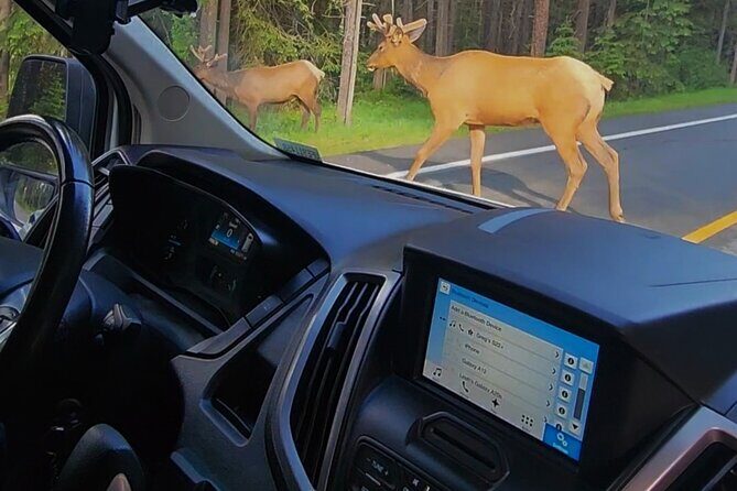 Day Tours in Banff National Park - Authentic Experiences and What Travelers Say