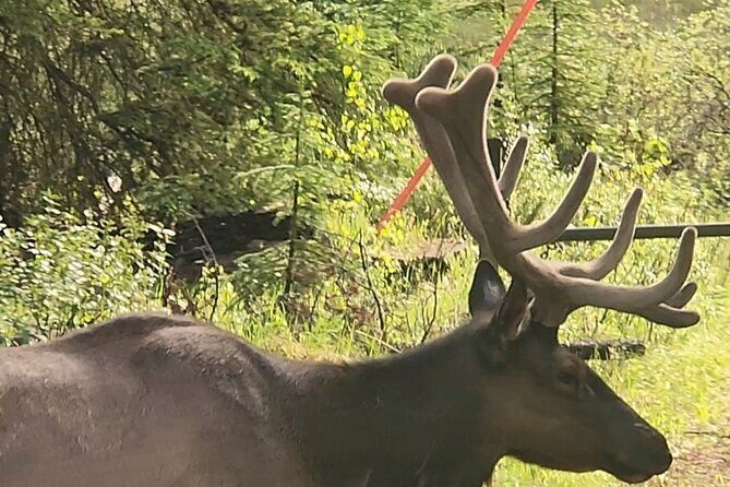 Day Tours in Banff National Park - Who Would Love This Tour?