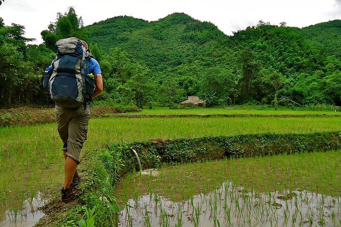 Day Trek to Kuangsi Waterfall and Bear Sanctuary - Luang Prabang full day tour - Who Will Enjoy This Tour?