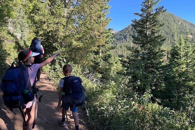 Day Trip Activity at Utah Mountain Backcountry with Box Lunch - The Magnificent Fall Colors