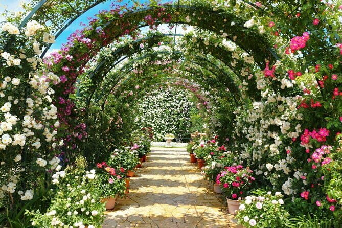 Day Trip Ashikaga Flower Park by Private Car from Tokyo - An In-Depth Look at the Ashikaga Flower Park Day Trip