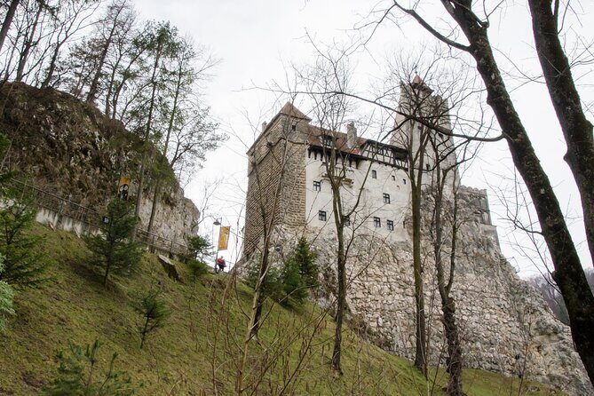 Day Trip Bear Sanctuary, Bran Castle, Rasnov Fortress from Brasov - A Full Picture of the Day Tour Experience