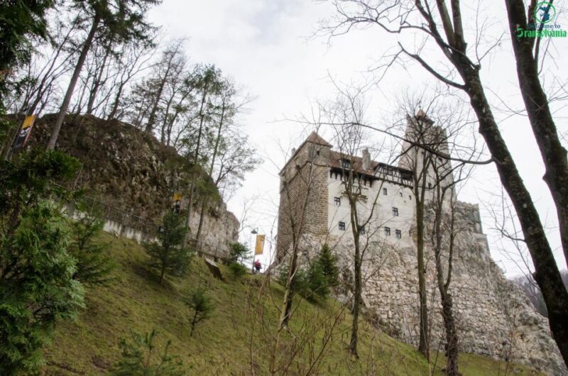 Day trip Bran Castle, Rasnov Fortress and Bear Sanctuary - An In-Depth Look at the Day Trip Experience
