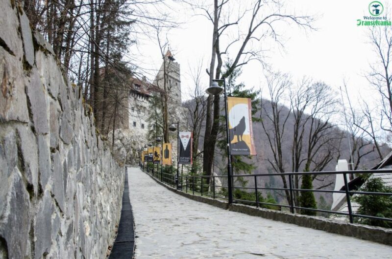 Day trip Bran Castle, Rasnov Fortress and Bear Sanctuary - Who Will Enjoy This Tour?