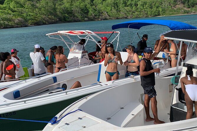 Day Trip by Boat from Le Robert - Who Should Book This Tour?