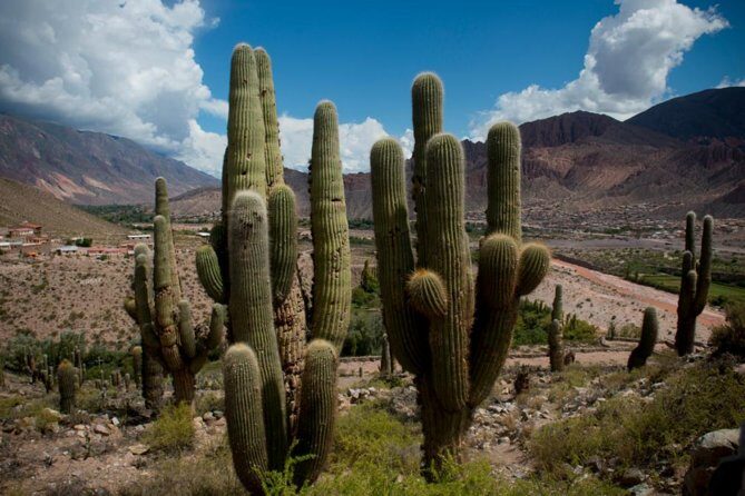 Day Trip Discover Humahuaca Valley from Salta - Key Points