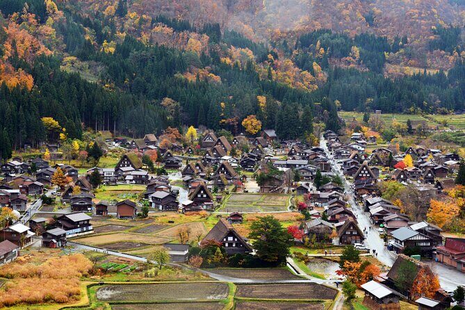 Day Trip for Shirakawago ,Takayama & gujo hachiman from Nagoya - The Sum Up