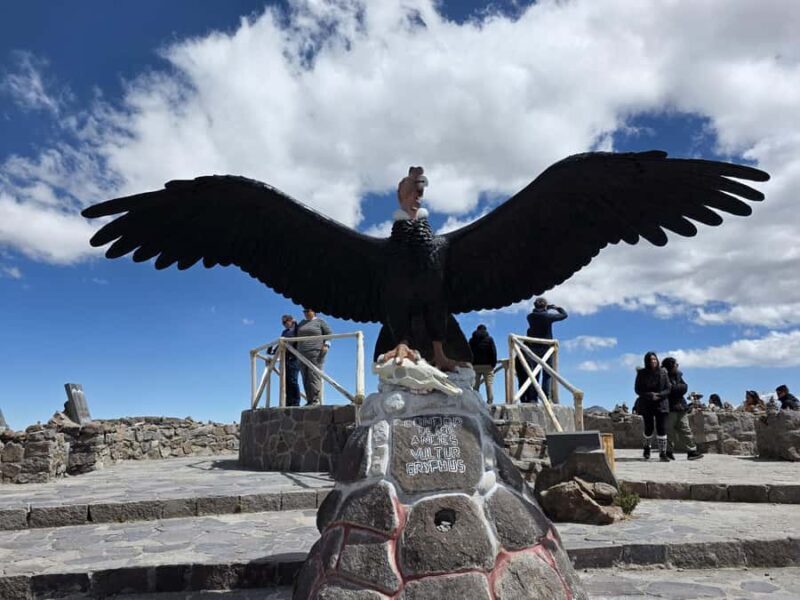 Day Trip from Arequipa: Explore the Majestic Colca Canyon - Key Points