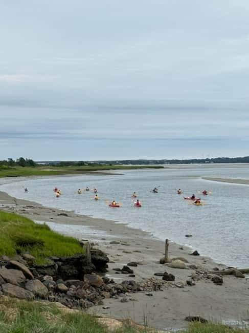 Day Trip from Boston: Guided Kayak at the Crane Estate - Experience the Beauty of Massachusetts from the Water: Guided Kayak at the Crane Estate