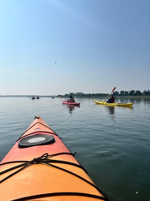Day Trip from Boston: Guided Kayak at the Crane Estate - Why This Tour Stands Out