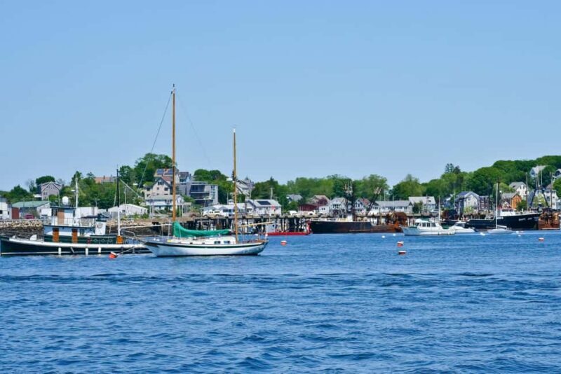 Day Trip From Boston: Kayak Tour through Gloucester Harbor - The Value of the Experience