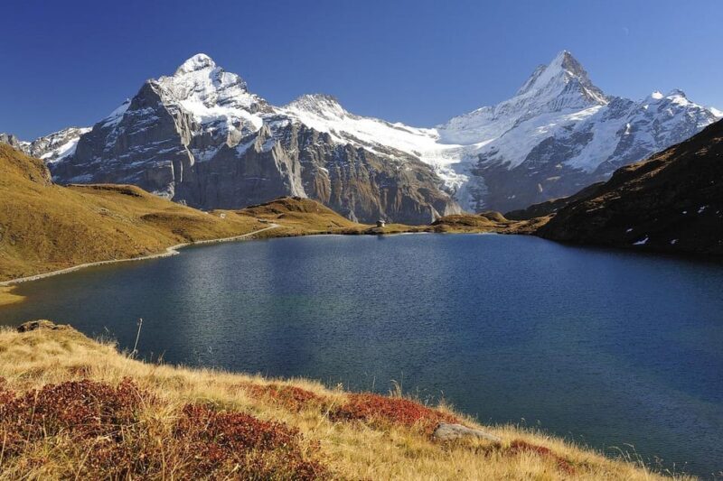 Day trip from Lucerne to interlaken and Grindelwald - Transportation and Logistics: Comfort in the Alps