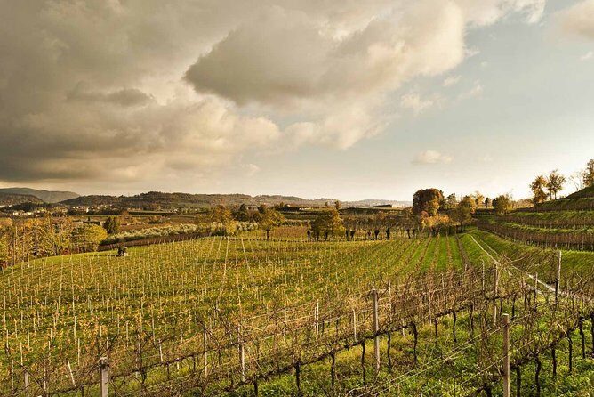 Day trip from Milan: Franciacorta, a paradise for wine lovers! - private tour - What to Expect on Your Franciacorta Day Trip from Milan