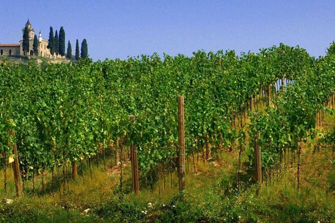 Day trip from Milan: Franciacorta, a paradise for wine lovers! - private tour - Practical Details and Tips