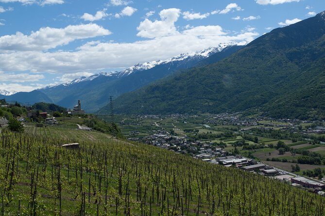 Day trip from Milan: Franciacorta, a paradise for wine lovers! - private tour - Final Thoughts