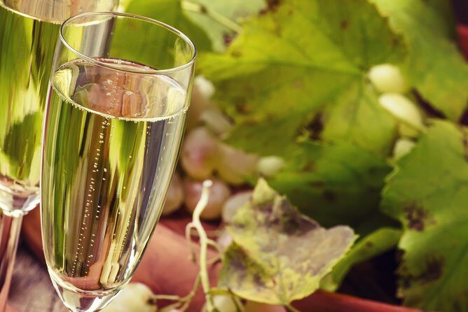 Day trip from Milan: Franciacorta, a paradise for wine lovers! - private tour - FAQ