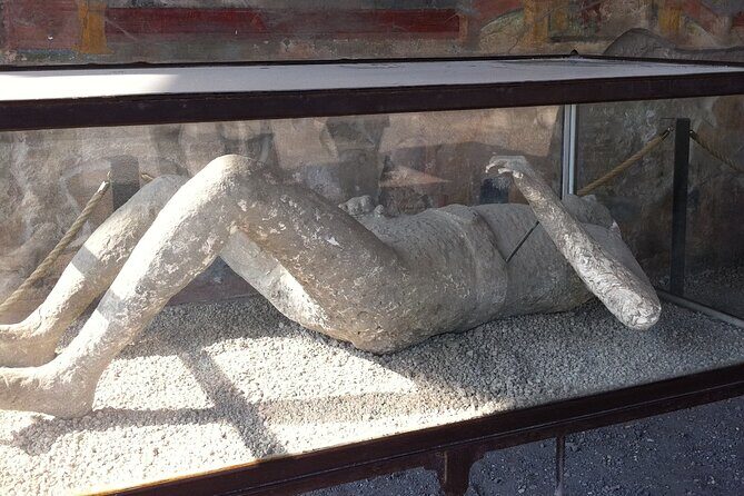 Day trip from Rome to Pompei Mt Vesuvius & Local Guide included - Final Thoughts