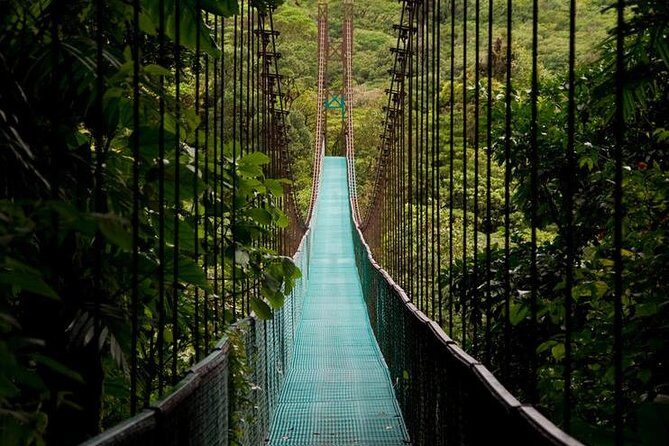 Day Trip from San Jose to Arenal Hanging Bridges & Baldi Hot Springs Resort - FAQs