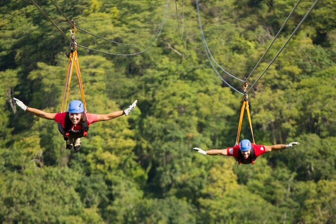 Day Trip from San Jose to Braulio Carrillo Canopy Tour - Key Points