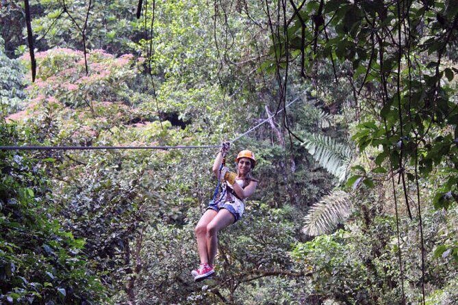 Day Trip from San Jose to Braulio Carrillo Canopy Tour - The Sum Up