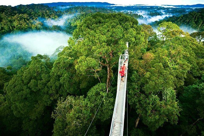 Day trip from San Jose to Monteverde Cloud Forest & Sky Adventure Park - Exploring the Monteverde Cloud Forest & Sky Adventure Park from San Jose