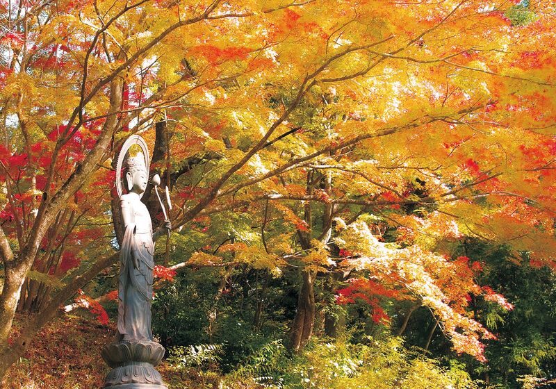 Day Trip from Sendai: Chuson-ji Temple Konjikido & Geibikei Gorge Cruise (Special Lunch Included) - Lunch included, with fewer decisions to make