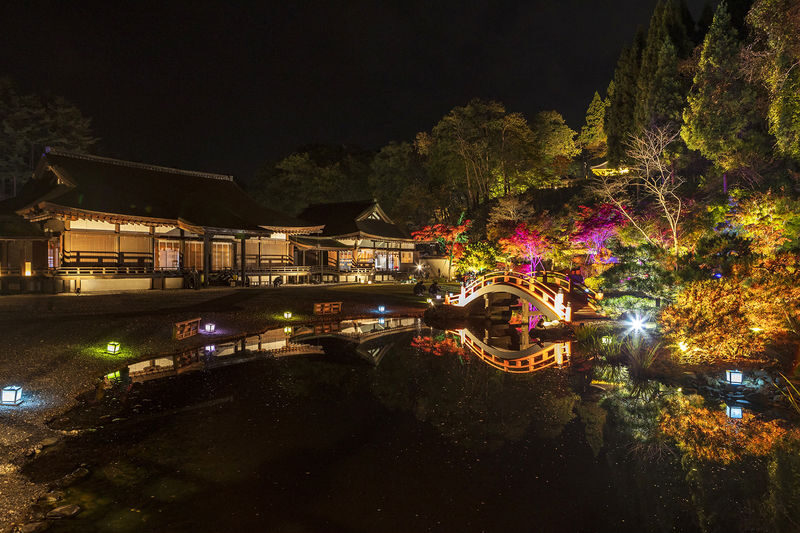 Day Trip from Sendai: Chuson-ji Temple Konjikido & Geibikei Gorge Cruise (Special Lunch Included) - The driver-guide and small-group feel