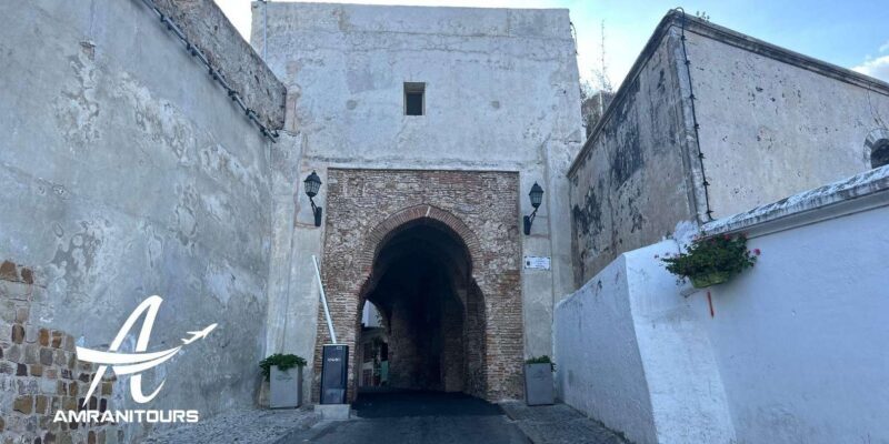 Day trip from Seville to Tangier all inclusive - Final Words