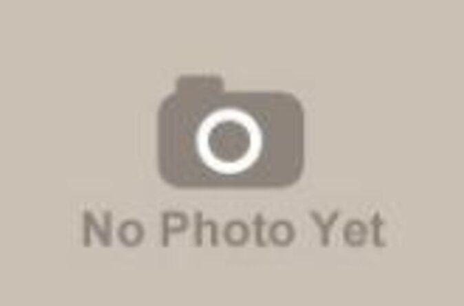 Day Trip from Udaipur to Nathdwara, Eklingji, and Haldighati - Key Points