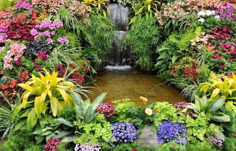 Day Trip from Vancouver to Victoria and Butchart Gardens - Final Thoughts