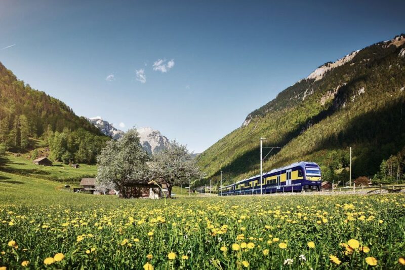 Day Trip from Zurich: Grindelwald First Mountain Adventure - Starting Point and Overall Logistics