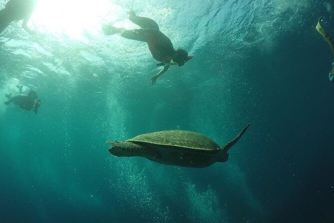 Day Trip Gili Trawangan, Gili Meno, Gili Air (Depart Lombok) - Who Is This Tour Best For?