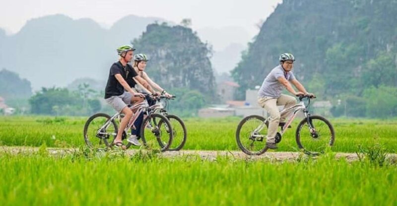 Day Trip-Hoa Lu-Trang An-Mua Cave-Lunch-Transfer - A Deep Dive into the Ninh Binh Day Tour Experience
