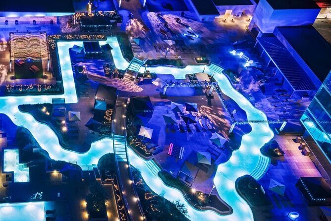 Day trip in Houston Texas with Lunch - Key Points