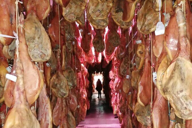 Day trip in Trevélez and a visit to ham drying factory - Key Points