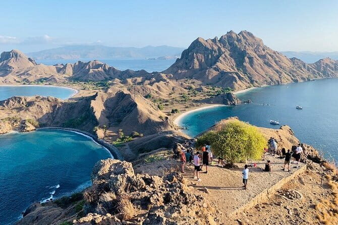 Day Trip Komodo Island With Speedboat in Labuhan Bajo - Key Points
