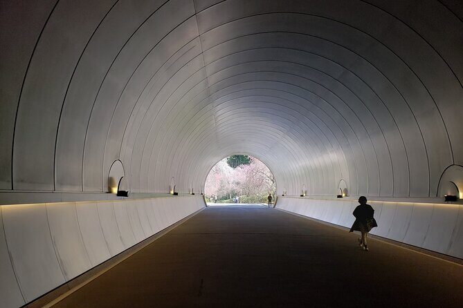 Day Trip MIHO Museum and Shigaraki from Kyoto by Private Car - Key Points