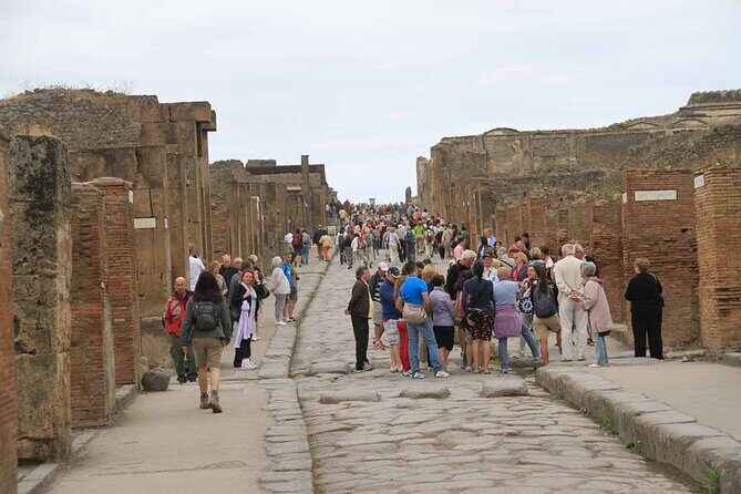Day Trip of Pompeii, Sorrento and Positano from Naples/Salerno - Transportation & Comfort