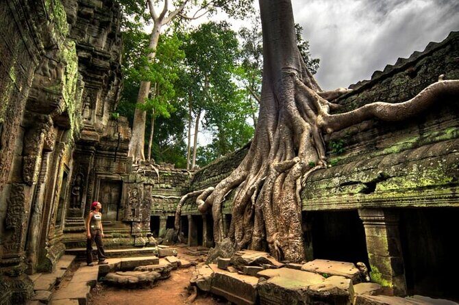 Day trip Phnom Penh to Siem Reap & Return back - Who Will Love This Tour?