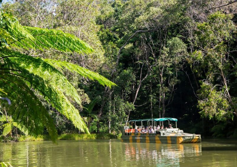 Day Trip: Rainforest & Aboriginal Culture Tour - Key Points