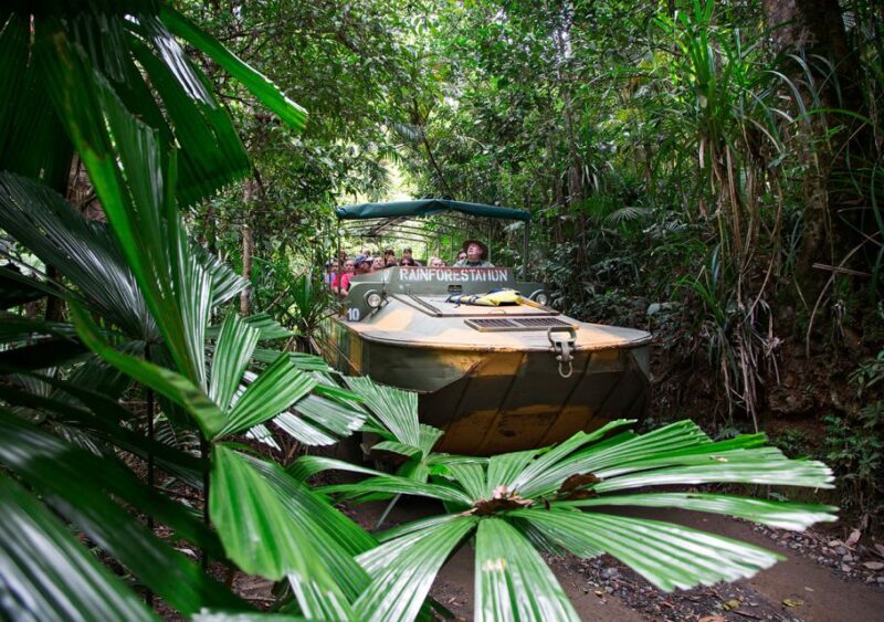 Day Trip: Rainforest & Aboriginal Culture Tour - Who Will Love This Tour?