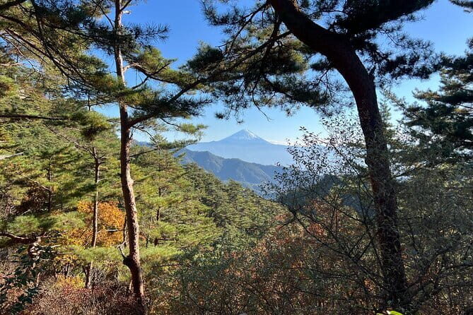 Day Trip Shosen Valley from Tokyo - Why This Tour is Worth It