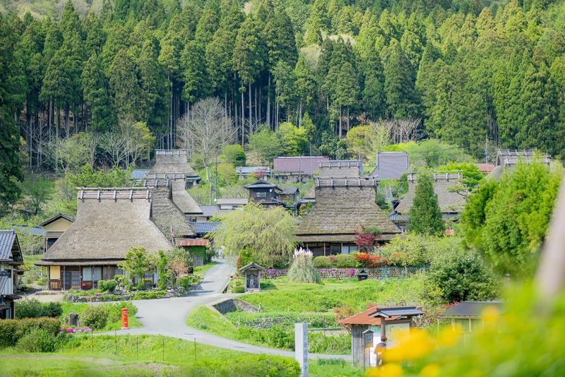 Day Trip to Amanohashidate & Ine no Funaya & Miyama Thatched Village in the Sea of Kyoto (Departure from Osaka or Kyoto) - How the bus day works