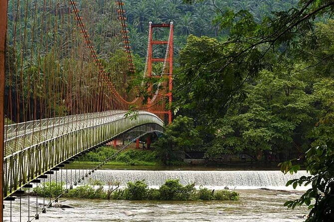 Day Trip to Athirappilly Water Falls by Kochi Taxi - An In-Depth Look at the Athirappilly Waterfalls Day Trip