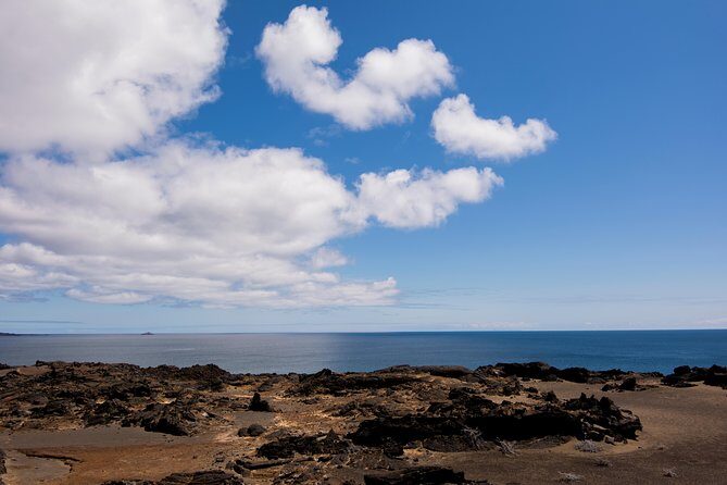 Day Trip to Bartolome Island from Puerto Ayora - Who Should Consider This Tour?