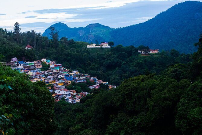 Day Trip to Coonoor (Guided Sightseeing Tour by Car from Ooty) - Exploring the Itinerary: What Youll Experience