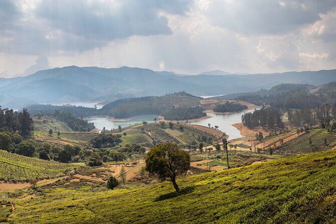 Day Trip to Coonoor (Guided Sightseeing Tour by Car from Ooty) - Transport & Practicalities: Comfort and Convenience