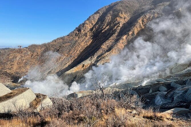 Day Trip to Hakone from Tokyo with National Licensed Guide - The Complete Experience: A Detailed Breakdown