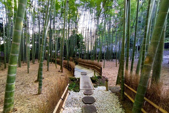 Day Trip to Kamakura & Enoshima: Shrines, Seaside, Temples & Tea - The Itinerary — A Detailed Walkthrough